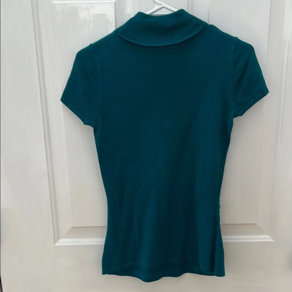 Teal Anne Taylor Petite Short Sleeve Women's Turtleneck Sweater - Picture 3 of 3